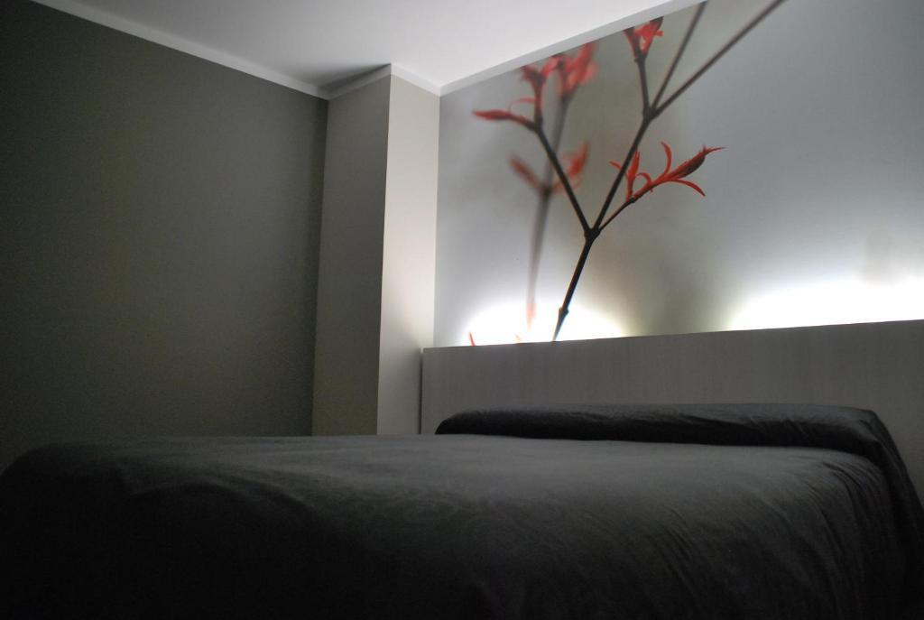 Meseguer Alcaniz Quarto foto